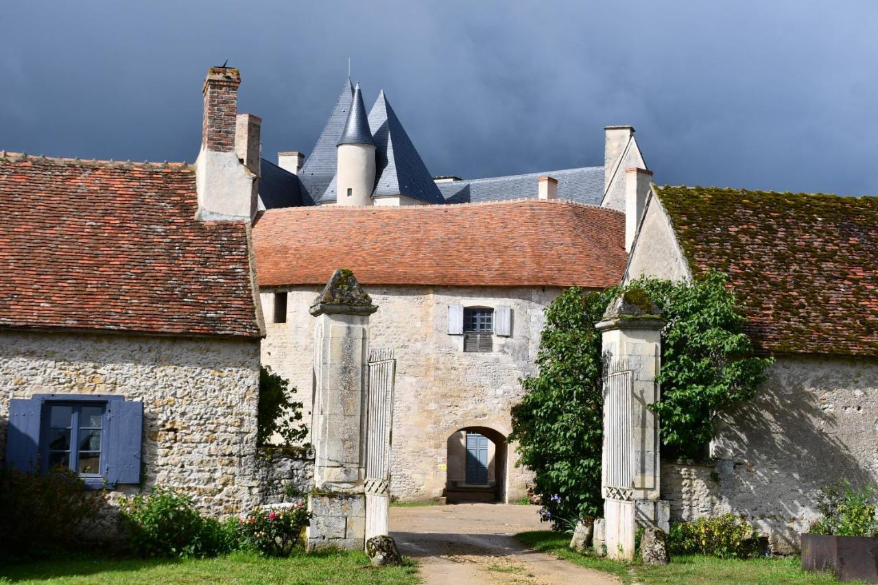 Un Chateau En Bourgogne Saincaize-Meauce Экстерьер фото