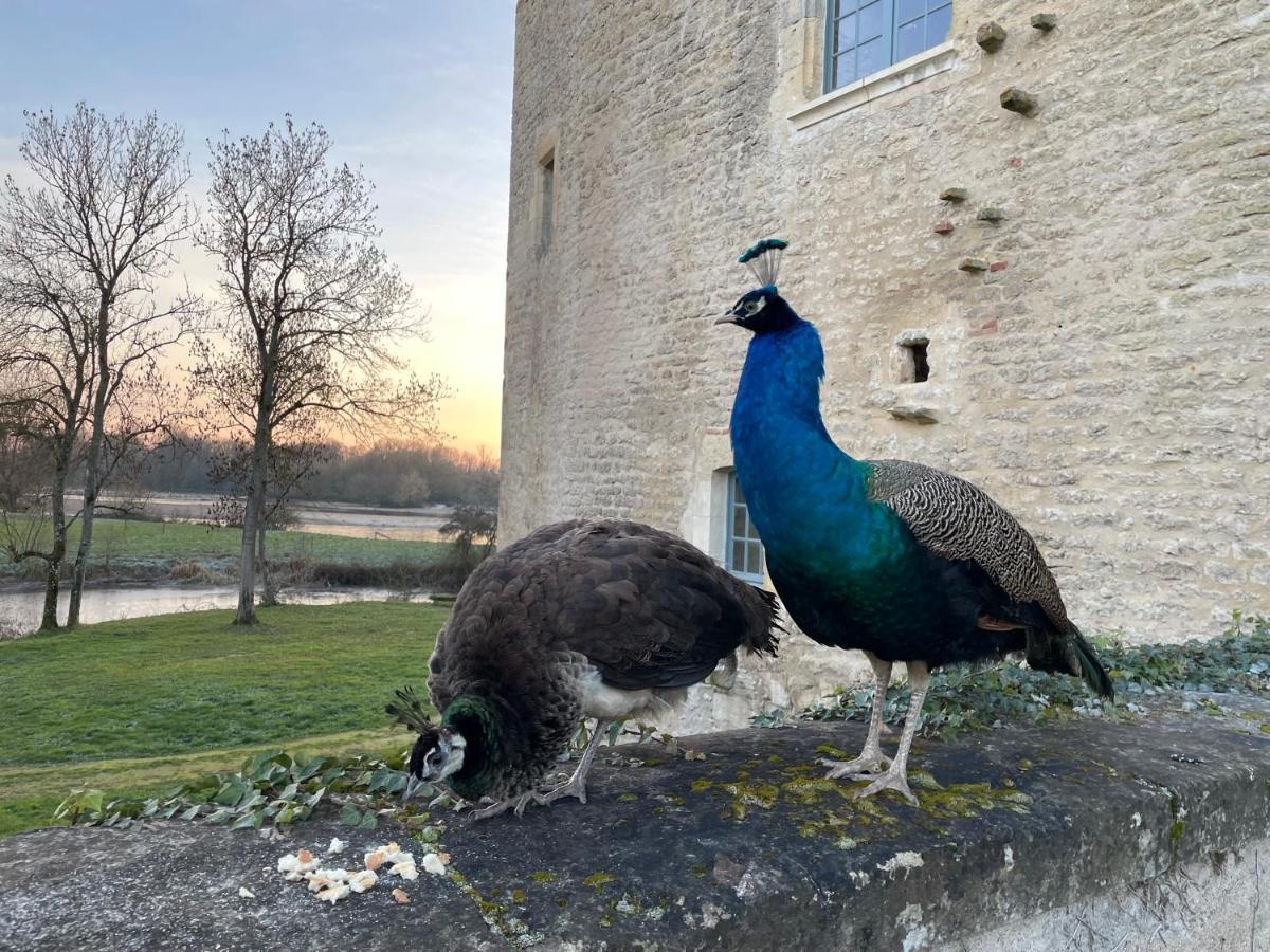 Un Chateau En Bourgogne Saincaize-Meauce Экстерьер фото